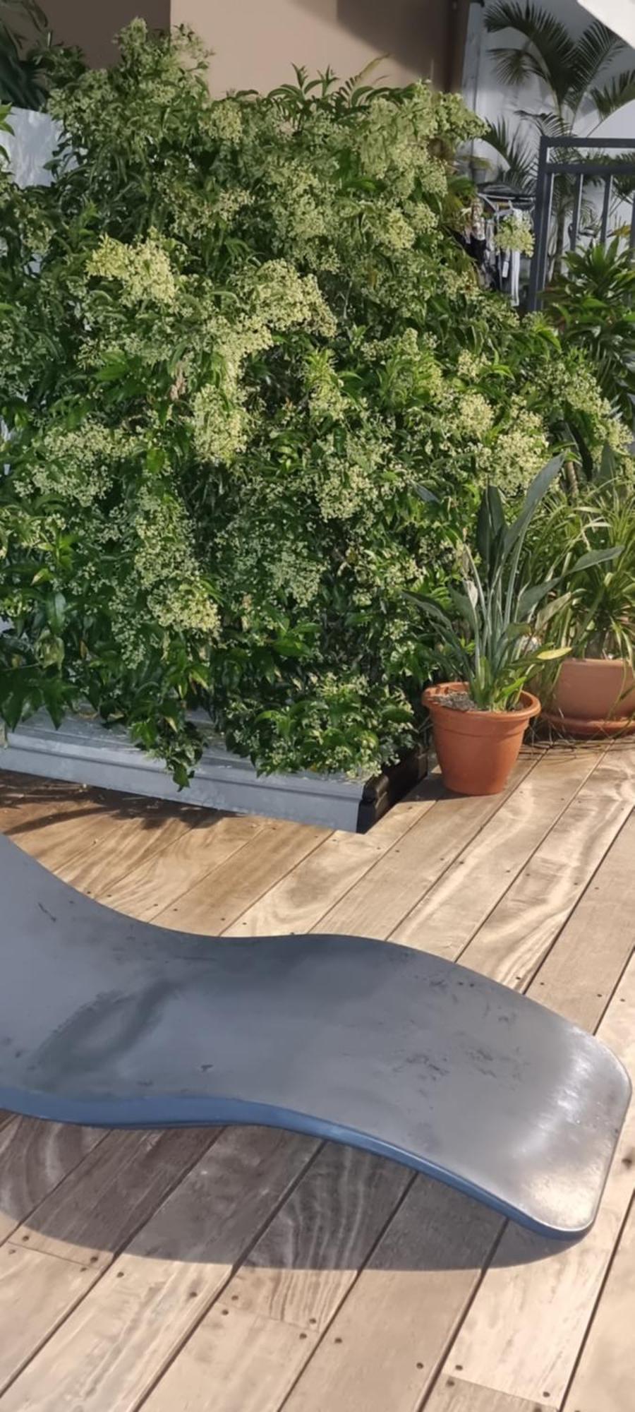Chambre meublée Le Tampon Exterior foto